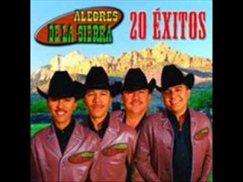 El Necio video