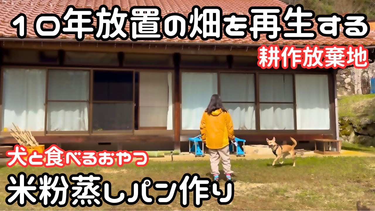【独身女と保護犬】10年以上放置された畑を復活させたい｜山菜と野草と米粉のおやつ【平屋暮らし】