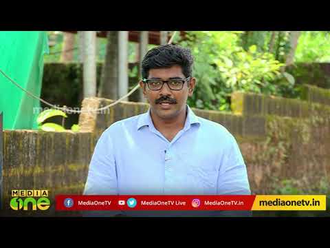 download lagu mp3 mp4 Joly, download lagu Joly gratis, unduh video klip Joly