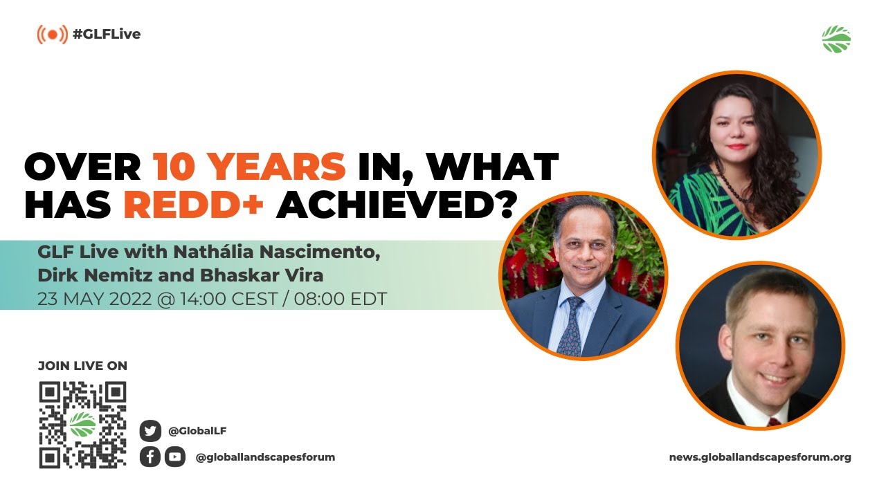 #GLFLive | Over 10 years in, what has REDD+ achieved?
