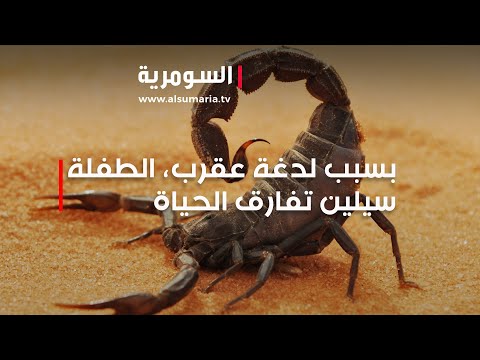شاهد بالفيديو.. فاجعة وفاة الطفلة سيلين بسبب لدغة عقرب وحقن خاطئة في بغداد