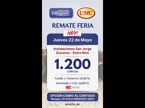 San Jorge - Durazno - Entre Ríos  1.200 Cabezas