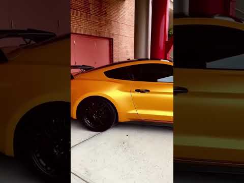 Extreme Online Store | Ford #Mustang GT500 Rear Spoiler High Wing Installed