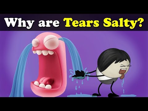 download lagu mp3 mp4 Tears Not Salty, download lagu Tears Not Salty gratis, unduh video klip Tears Not Salty