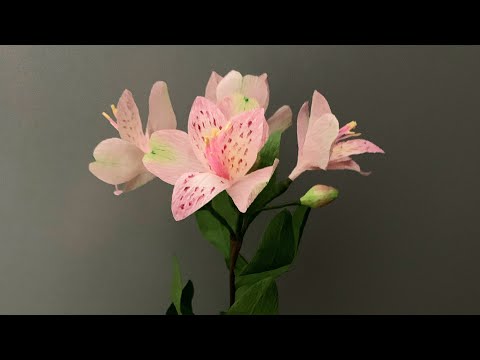 Bella’s Craft/ How to make Alstroemeria by crepe paper/ Hướng dẫn làm hoa thuỷ tiên Peru bằng giấy