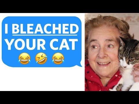 Crazy Neighbor STOLE MY CAT and BLEACHED HIM… Cat gets Revenge - Reddit Podcast