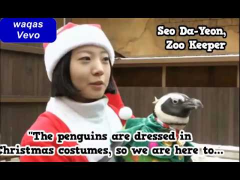 Cut For Time: Christmas Romance -Penguins