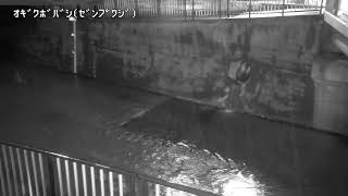 荻窪橋映像監視局