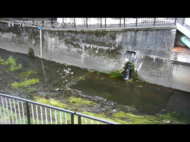 荻窪橋映像監視局