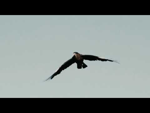 Rolling Wheels MC Wriezen