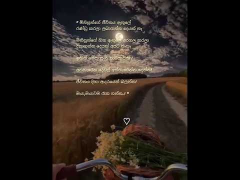 C H A T H U   M U S I C  🦋' #short #love #music #vadan #status #song #feeling #viralvideos