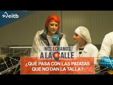 ¿Qué se hace con las patatas que no dan la talla para venderlas en el supermercado?