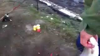 Платная рыбалка в высоковском