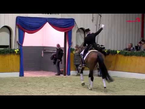 Escolar Hengstschau Vechta 2016