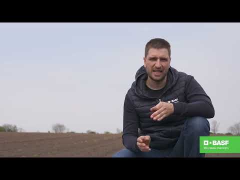 BASF Agro Patrola 2021 - Šta raditi kada soja nikne a pojave se korovi?
