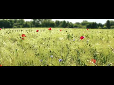 Parole et Évangile chaque jour | Dimanche 11 août