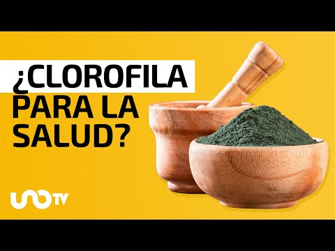 Beneficios y propiedades de la clorofila