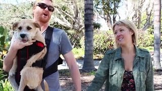 Are You A DILDO? (With Kurt Braunohler)