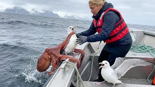 Animals That Asked People for Help & Kindness MQDEFAULT Thumbnail