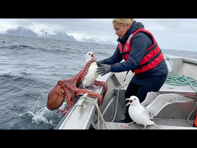 Animals That Asked People for Help & Kindness SDDEFAULT Thumbnail