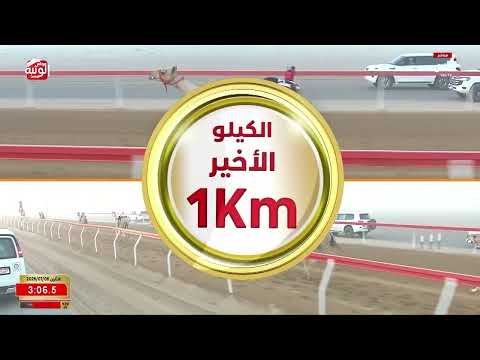 ش 2 (زاغور) لـ نايل راشد بن سيف النايلي الشامسي 4:30:16 ، مهرجان العين 2026/07/06 حقايق الروضة