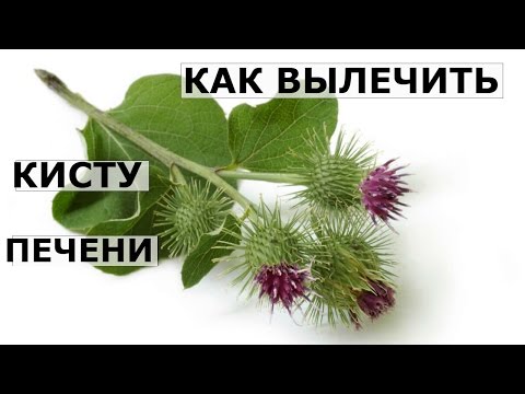 Крем отбеливающий темные пятна Отвар из петрушки для лица от пигментных пятен на