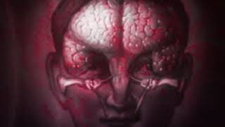 Stereofox - Distortions (Music Video)