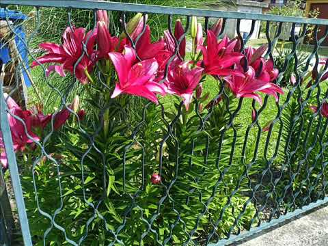 Непрестана молитва састоји се у томе не само да се мо свагда мол