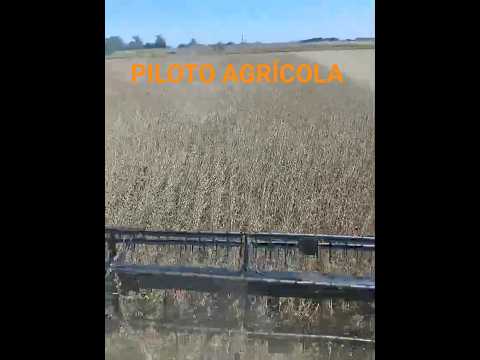 Piloto Automático EfeYEfe para cosechadora #1 - Instalado en Arteaga, Santa Fé