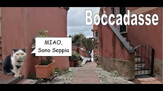 preview picture of video 'Boccadasse (Full HD 1080p - 3D)'