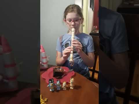 Bluey Theme Song on Recorder #shorts