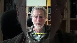 Do Gravitons Exist?