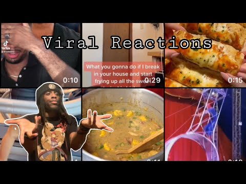 These videos are crazy | Reaction mashup