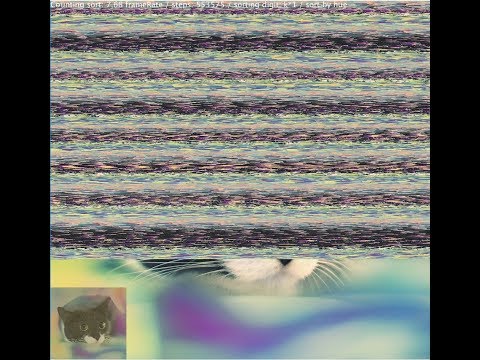 Pixel Radix LSD (least significant digit) Sorting visualization on a colorful cat img [900x853]