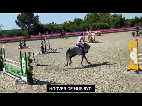 HOOVER DE HUS 5YO & VALENTIN BESNARD SHF TOUR 2022 - CANTELU Fr