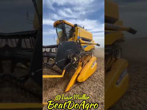 Video Para Status #0289