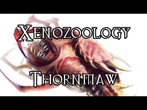 Xenozoology: Thornmaw - 40K Theories