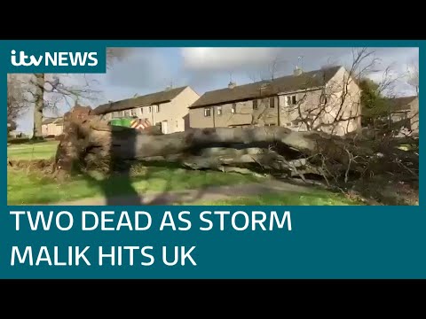 Boy and woman killed by falling trees as Storm Malik batters UK | ITV News
