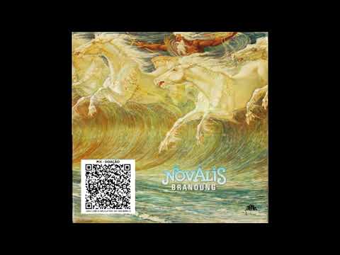 Cords - FlossenengelNovalis