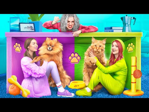 Secret rooms for pets