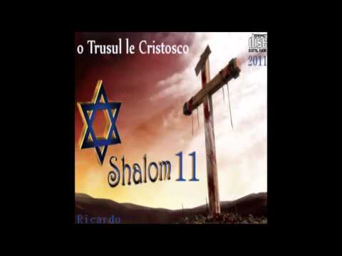 Ricardo Kwiek Shalom 11/track 5