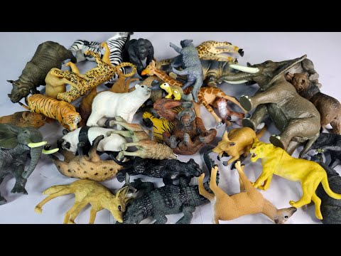 Zoo Animals Figure Unboxing And Review - Panda Snake Shark Cow Dinosaurs Lion Horse Camel Cat