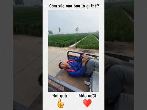 Trễ Chuyến Xe Về Nhà Và Cái Kết Té Ngửa #pets #funny