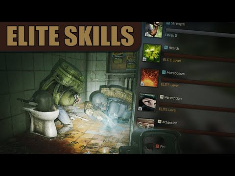 Escape from Tarkov Leveling: Essential Elite Skills