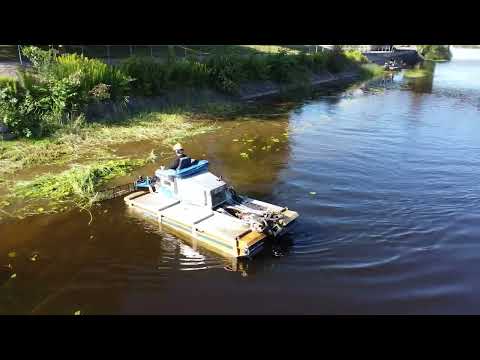 Vassklippning Karlstad sommaren 2022