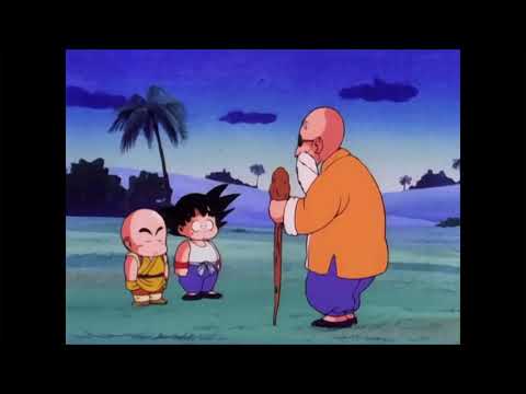 Master Roshi (Turtle Hermit)