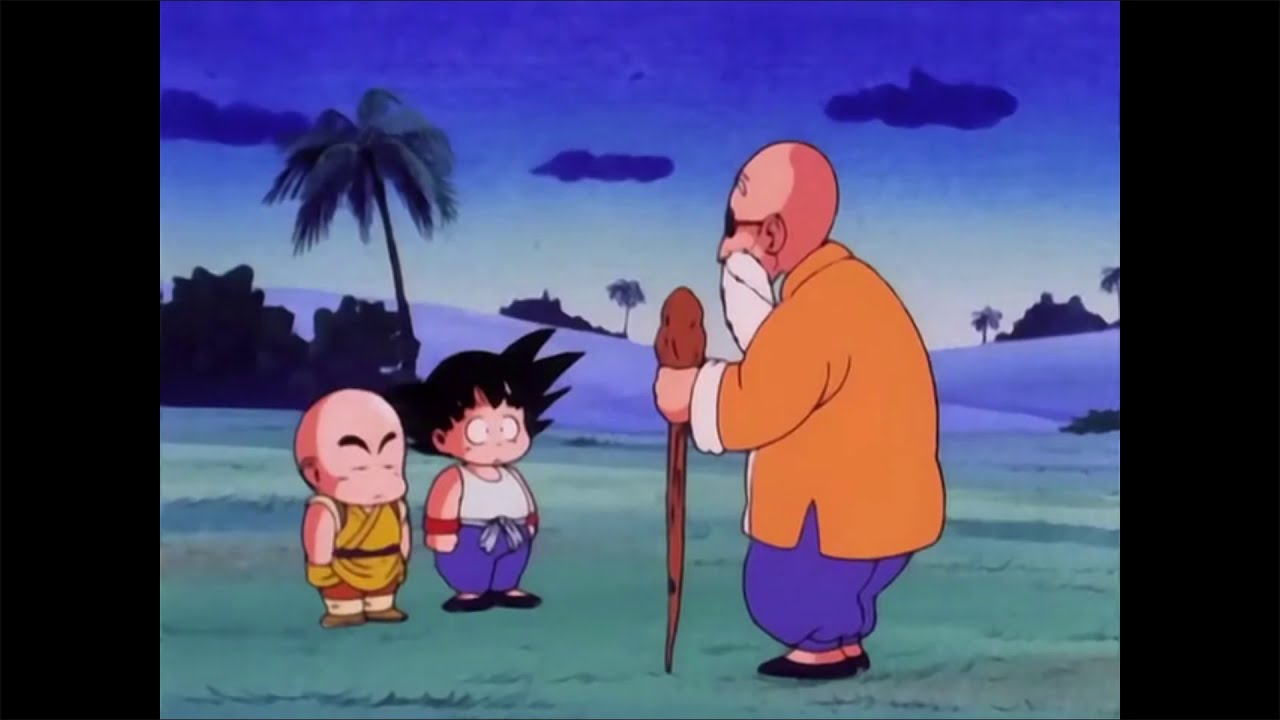 Master Roshi (Turtle Hermit)