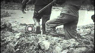 Re: [分享] 美軍陸戰隊在琉球熱帶雨林地形訓練分享