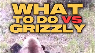 BEAR ATTACK. What You Should Do to Survive