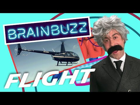 Flying! BrainBuzz